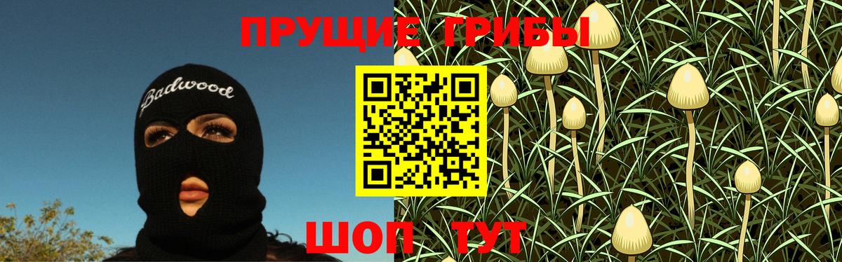 Галлюциногенные грибы Cubensis Северобайкальск